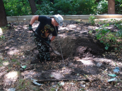 В Бринкманском саду ведутся поиски останков мирных жителей, расстрелянных немцами