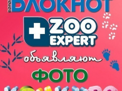 Фотоконкурс Я и мой любимец - выиграй суперпризы!