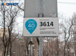  Дополнительные места на платных парковках организовал концессионер в Воронеже 