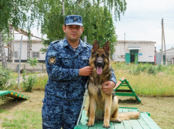 Кинолог из исправительной колонии спас тонущего в Воронежской области 