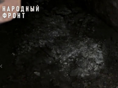 Травить мошкару из вонючего подвала ради приятия ванны вынуждены воронежцы