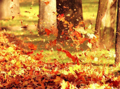 На рабочей неделе воронежцев ждет резкое потепление