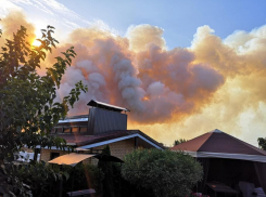 Дома и леса снова начали гореть в Воронежской области