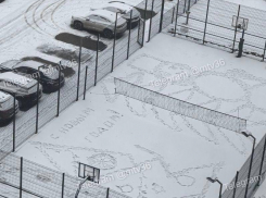 Первое поздравление с новым годом заметили в воронежском дворе