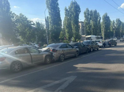 Гусеница из ДТП образовалась на дороге из-за неосмотрительности воронежца