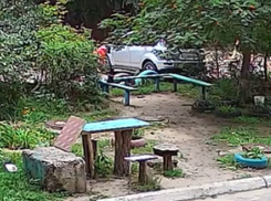 Колбасного клептомана записала камера в воронежском дворе