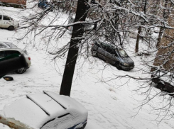 Деревья упадут в квартиры: проблемный двор показали в Воронеже