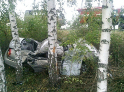 В Воронежской области «Хендай» врезался в дерево: водитель погиб