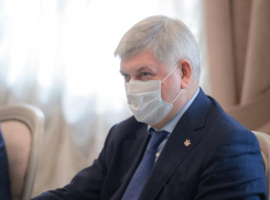 Образ губернатора Гусева показал негативную динамику в феврале