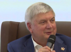 Революцию в схеме управления Воронежской областью анонсировал губернатор
