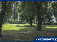 Как в 2023 году выглядит воронежский парк, где высаживались инопланетяне 