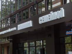 Воронежская детская клиника обошлась инвестору в 300 млн рублей