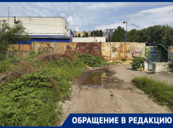 Портал в Нарнию, открытый колодец и автомобильные шины обнаружили рядом с «Котенком с улицы Лизюкова» в Воронеже