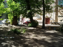 Деревца в центре Воронеже памяти подводника с «Курска» могут помешать Мариинской гимназии