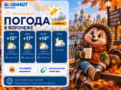 Воронеж накрывает осенняя хандра: прогноз погоды