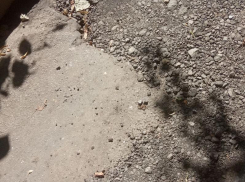 Новый асфальт вызвал сомнения у воронежцев