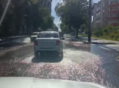 Из-за прорыва канализации на Московском проспекте изменена схема движения транспорта