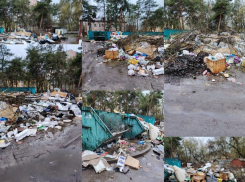 Фотографиями заваленной площадки 300 кубами мусора поделились воронежцы