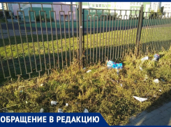 На стихийную свалку около элитной школы пожаловались воронежцы