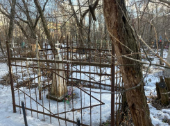 Смертность в Воронежской области поднялась ещё на 26%