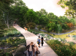 Воронежский центральный парк: панорамный мост, садовые террасы, тропа здоровья и активные программы круглый год