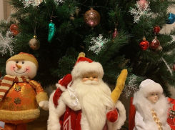 Как воронежцы встретили Новый год 2020