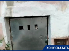 «Нам плевать, пусть умирает»: воронежская управляющая компания замуровала кошку в подвале