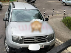 Гневное послание разбитого сердца показали на фото в Воронеже