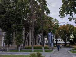 Петицию за спасение Пушкинского сквера запустили в Воронеже 