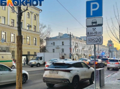 Поднять цену на платные парковки в центре Воронежа предлагают в мэрии