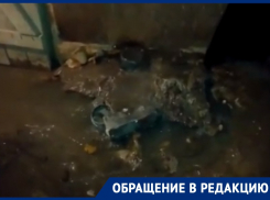 Канализационная стихия обрушилась на подвал дома в Воронеже 