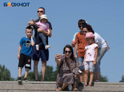 Воронежские многодетные семьи освободят от уплаты транспортного налога