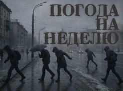 Околеть можно: какая мерзопакостная погода будет на следующей неделе в Воронеже?