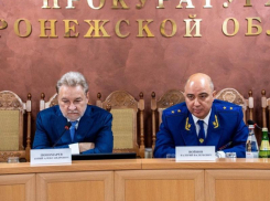 Нового прокурора Воронежской области Войнова представили властям и сотрудникам ведомства