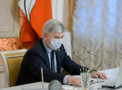 Антиковидные паспорта для воронежцев прокомментировали в правительстве области