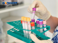 Чем отличается грипп от ковида и ОРВИ, наглядно показали в Воронеже