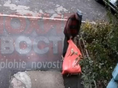 Появилось видео, где мужчина выносит труп своей подруги в Новой Усмани под Воронежем