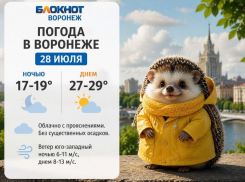 Грозовой финал июля: какая погода ждет Воронеж в ближайшие дни?