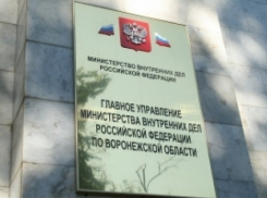 «Бухгалтером» воронежской полиции будет Алексей Шелестов