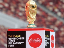 Воронежцы увидят главную футбольную реликвию – 5-килограммовый золотой кубок чемпионата мира