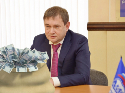 Во сколько миллионов обходится содержание воронежской «Единой России» 