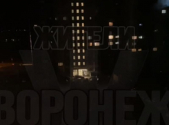 «Орет каждую ночь», – двухдневная бессонница мучает жителей воронежского двора