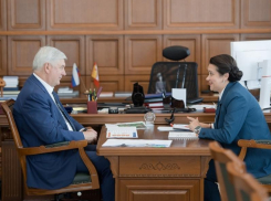 Новую программу поддержки рождаемости представили воронежскому губернатору 