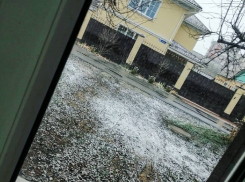 Как воронежцы встретили первый день зимы