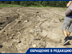 «Озеро в опасности»: воронежцы обеспокоены судьбой водоема 