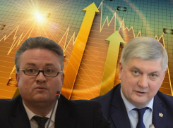 Сказочные цифры обожания воронежских чиновников опубликовало правительство