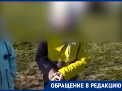 «Ребенок, боишься их?»: воронежцы рассказали, как собаки оккупировали их село 