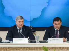 Владимир Нетёсов представил «команду мечты» к выборам губернатора