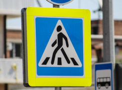 «Отрезаны от мира»: жительница Воронежа пригласила чиновников на прогулку с коляской    