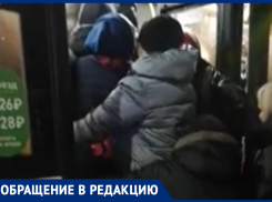 Избирательный маршруточный голод объявили воронежцам 